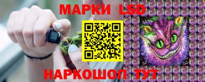 спиды Братск