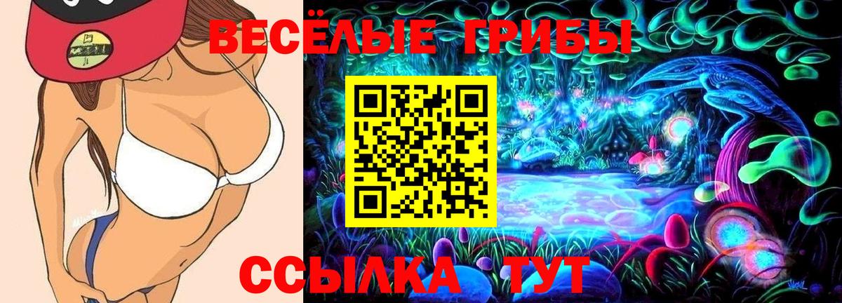 Галлюциногенные грибы Psilocybine cubensis Юрга