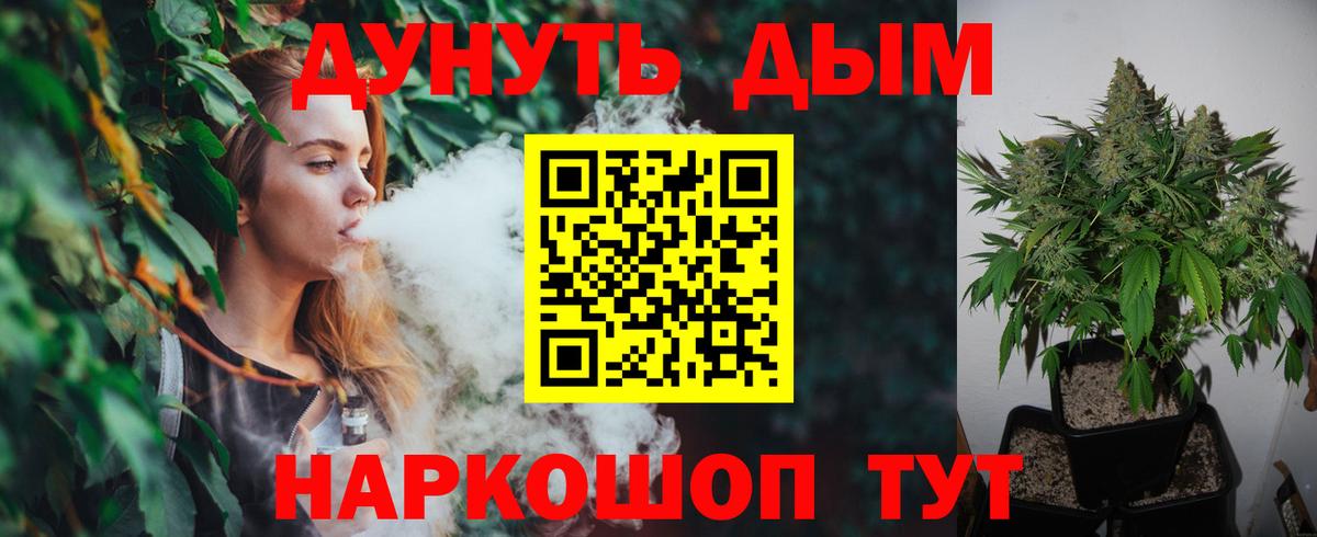 Бошки марихуана сатива Юрга